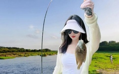 在线看免费无码A片视频